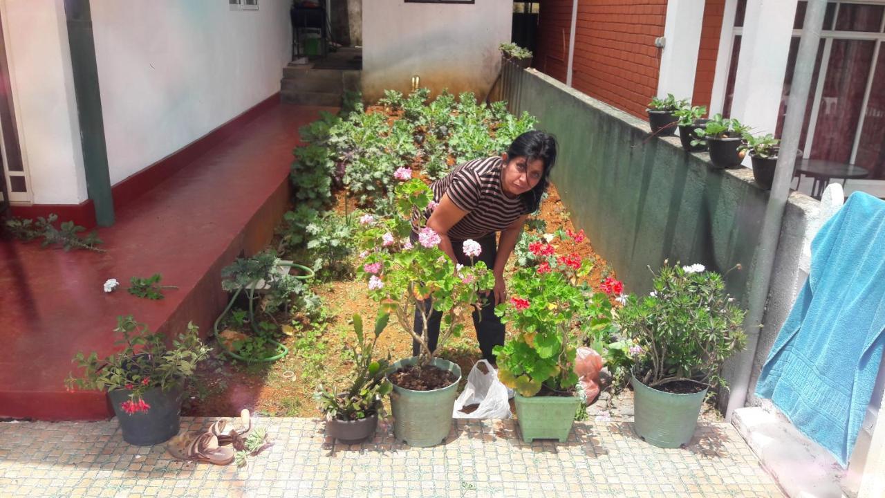 Winter Dream Holiday Bungalow 努沃勒埃利耶 外观 照片