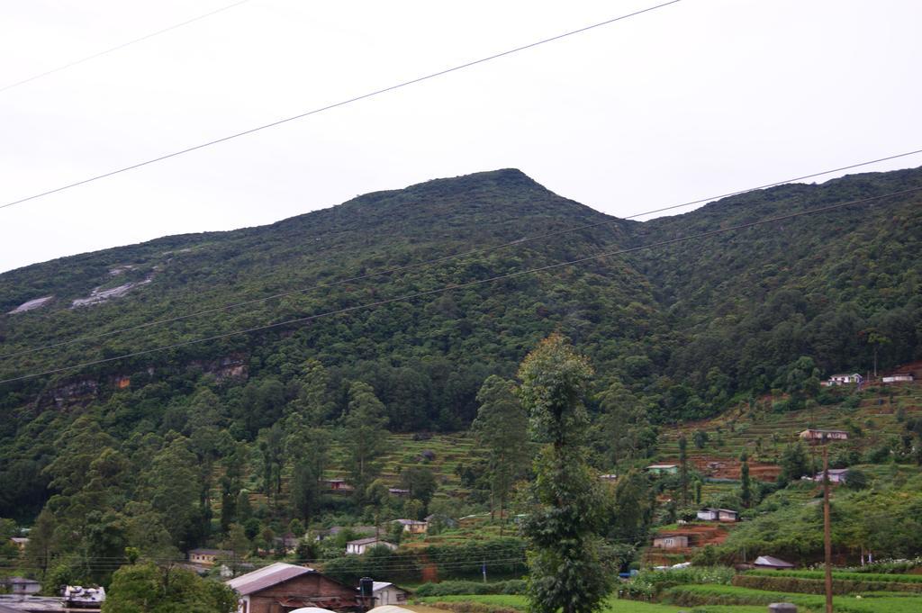 Winter Dream Holiday Bungalow 努沃勒埃利耶 客房 照片